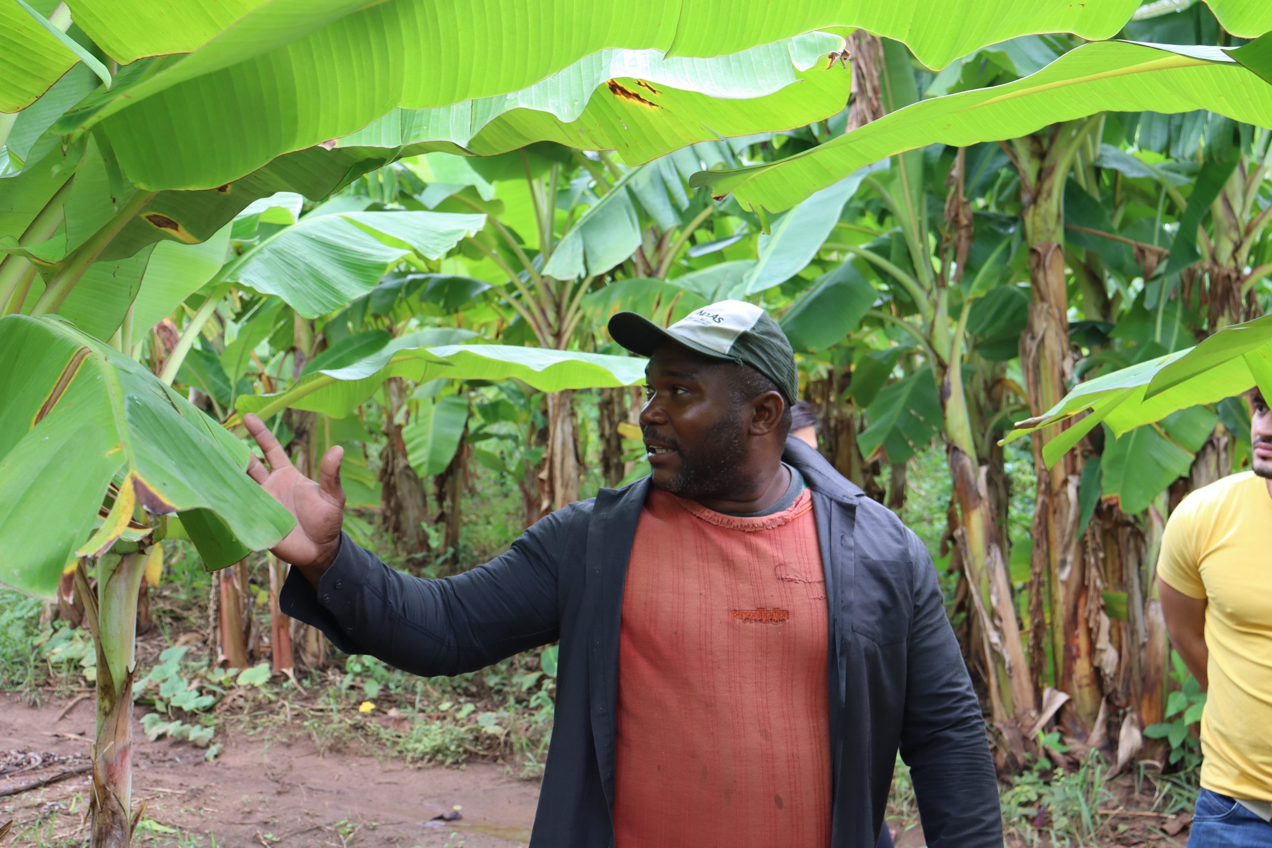 Leia mais sobre o artigo Muxirum Quilombola