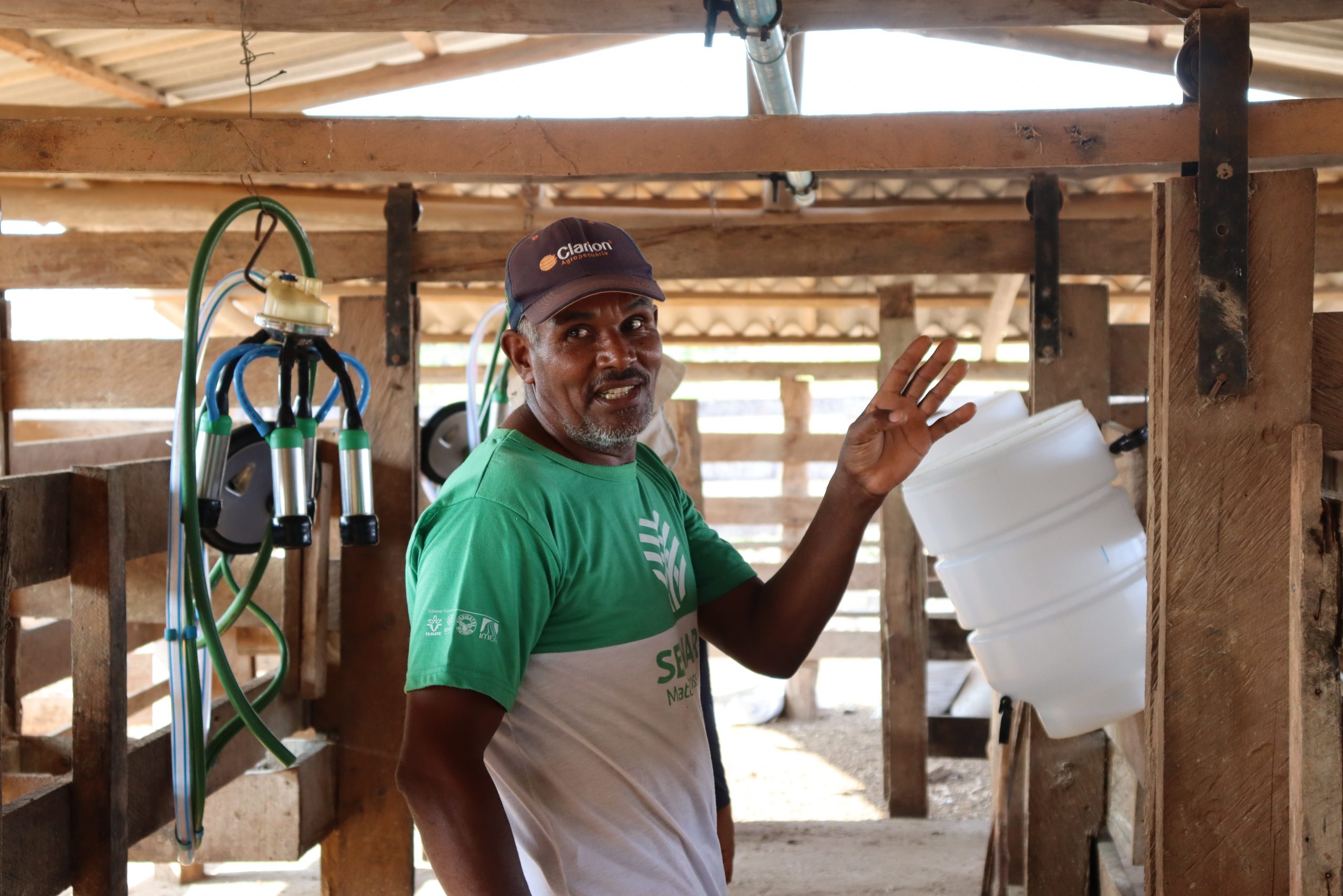 Leia mais sobre o artigo Projeto Mais Leite Saudável