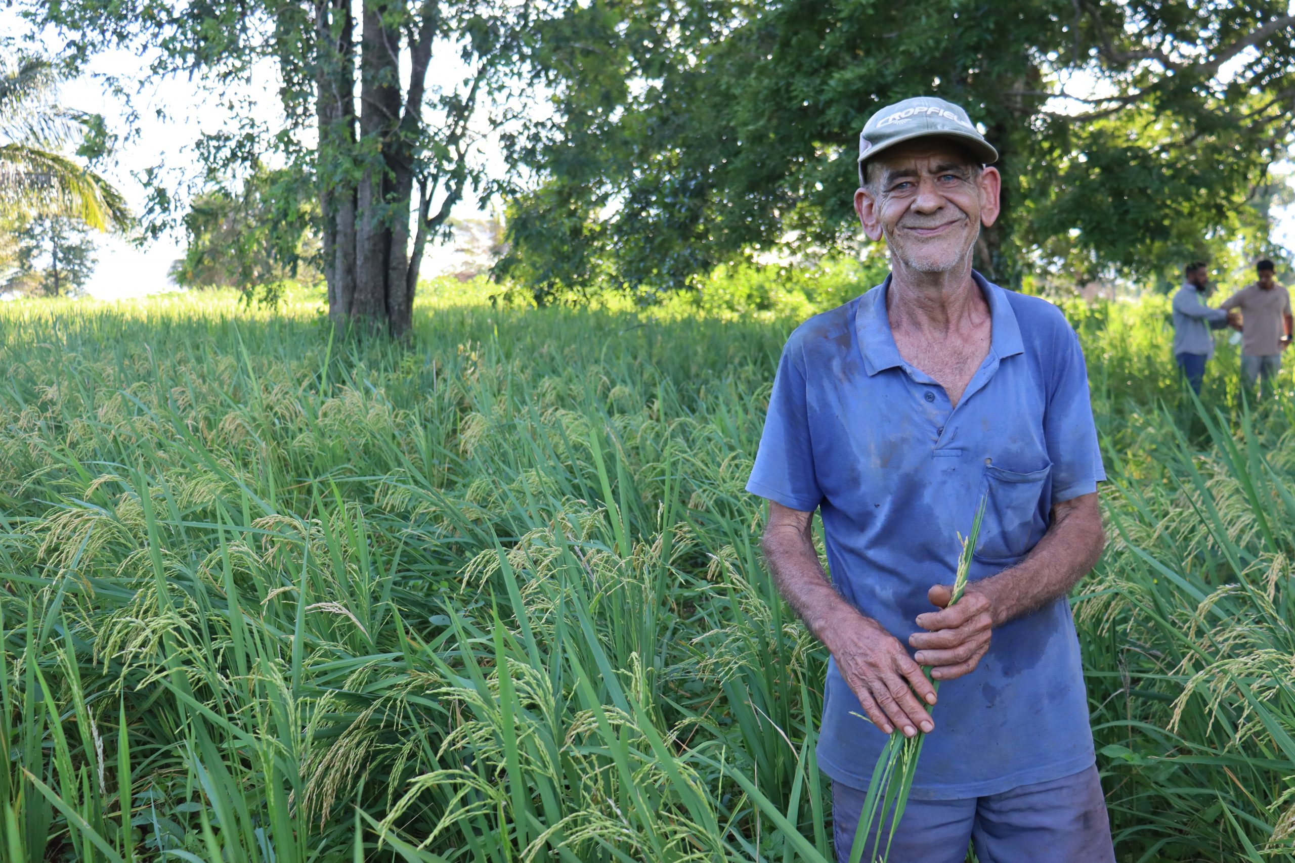 Leia mais sobre o artigo Agroecologia de Grupo a Grupo