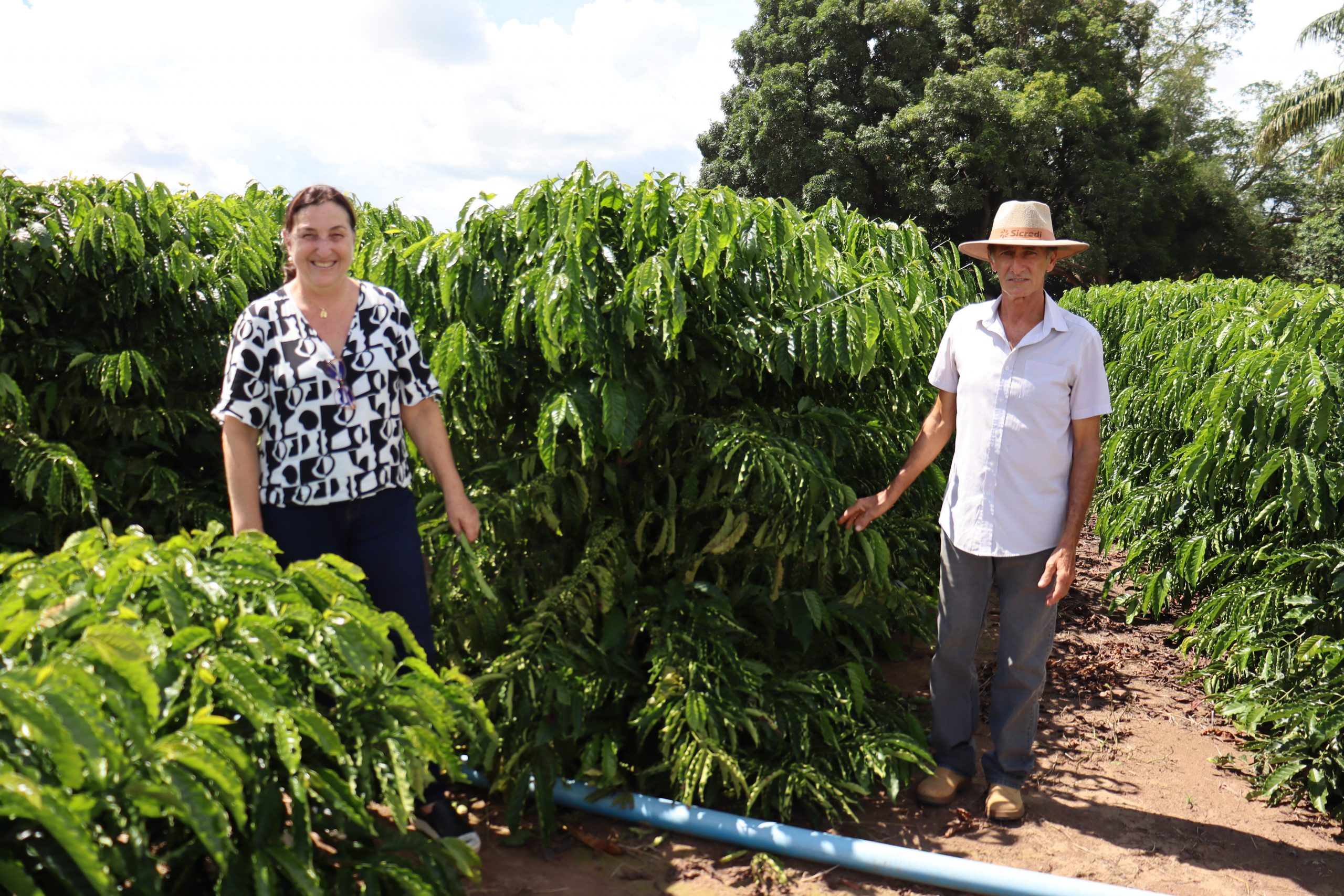 Leia mais sobre o artigo Plano de Gestão da Cadeia de Valor do Café no Território do Portal da Amazônia