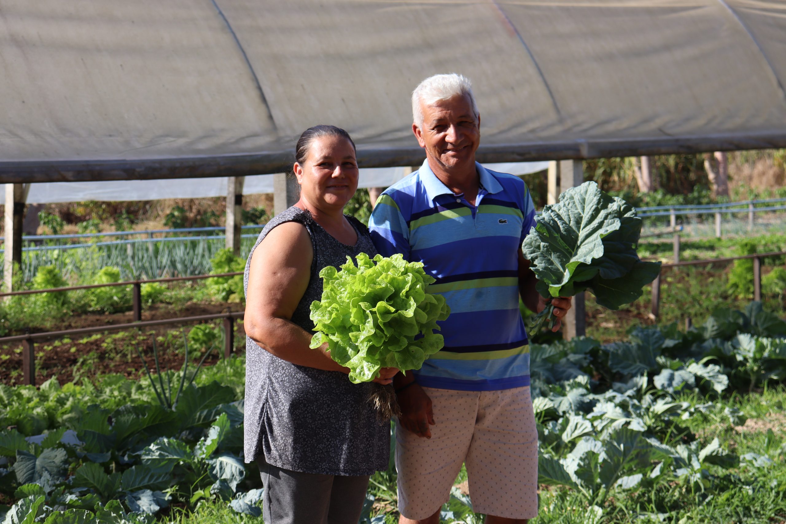 Leia mais sobre o artigo Agroecologia em Rede