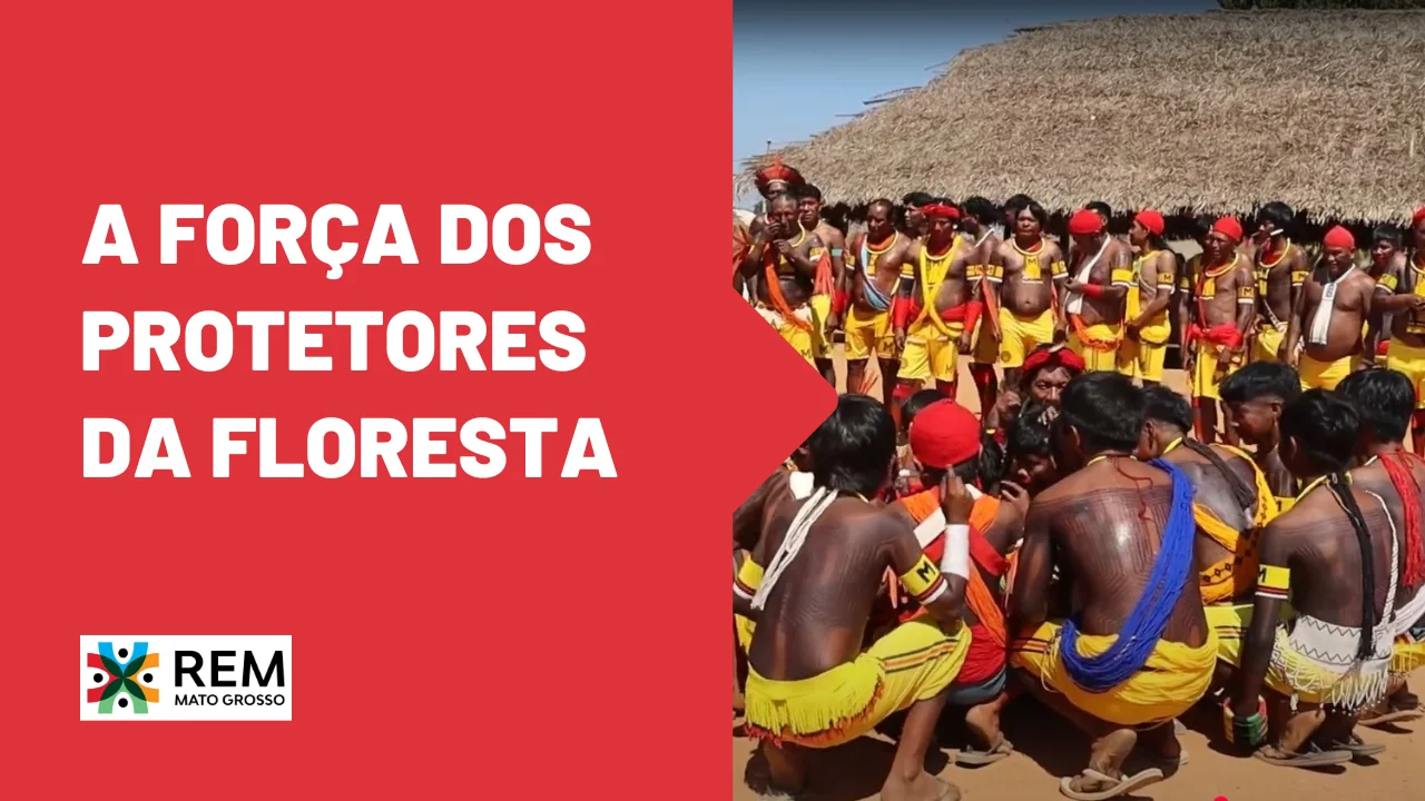 Miniatura do Vídeo