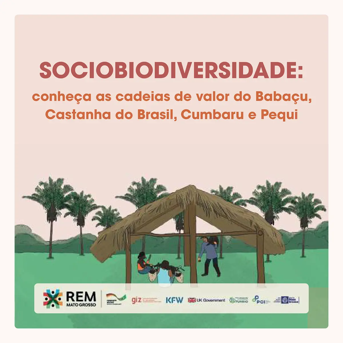 Você está visualizando atualmente SOCIOBIODIVERSIDADE – CONHEÇA AS CADEIAS DE VALOR DO BABAÇU, CASTANHA DO BRASIL, CUMBARU E PEQUI