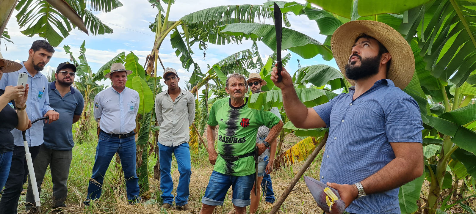 Leia mais sobre o artigo Sistemas Agroflorestais Manejados Participativamente com Tecnologias Agroecológicas em Aripuanã-MT