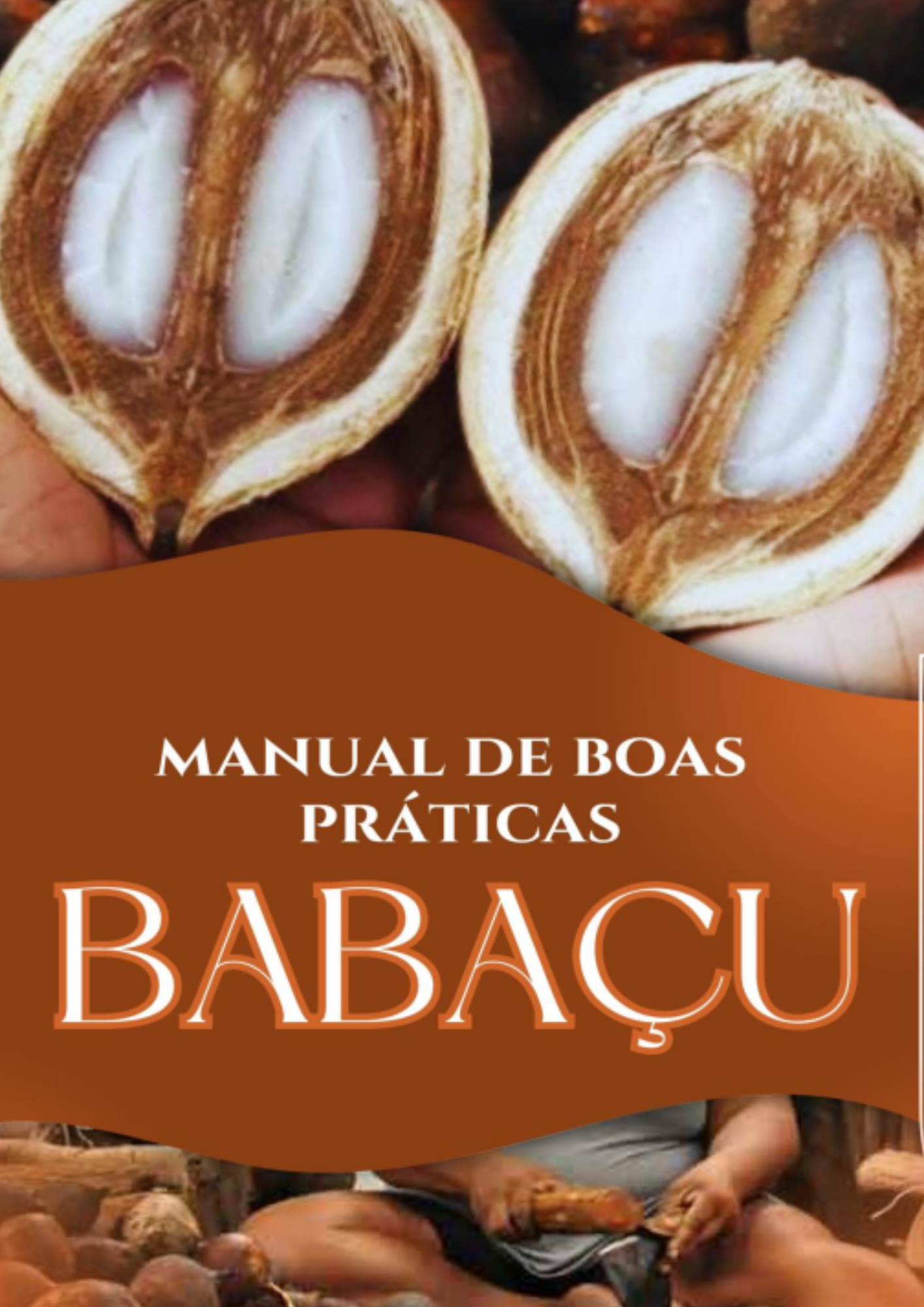 Você está visualizando atualmente Manual de Boas Práticas: Manejo do Coco do Babaçu