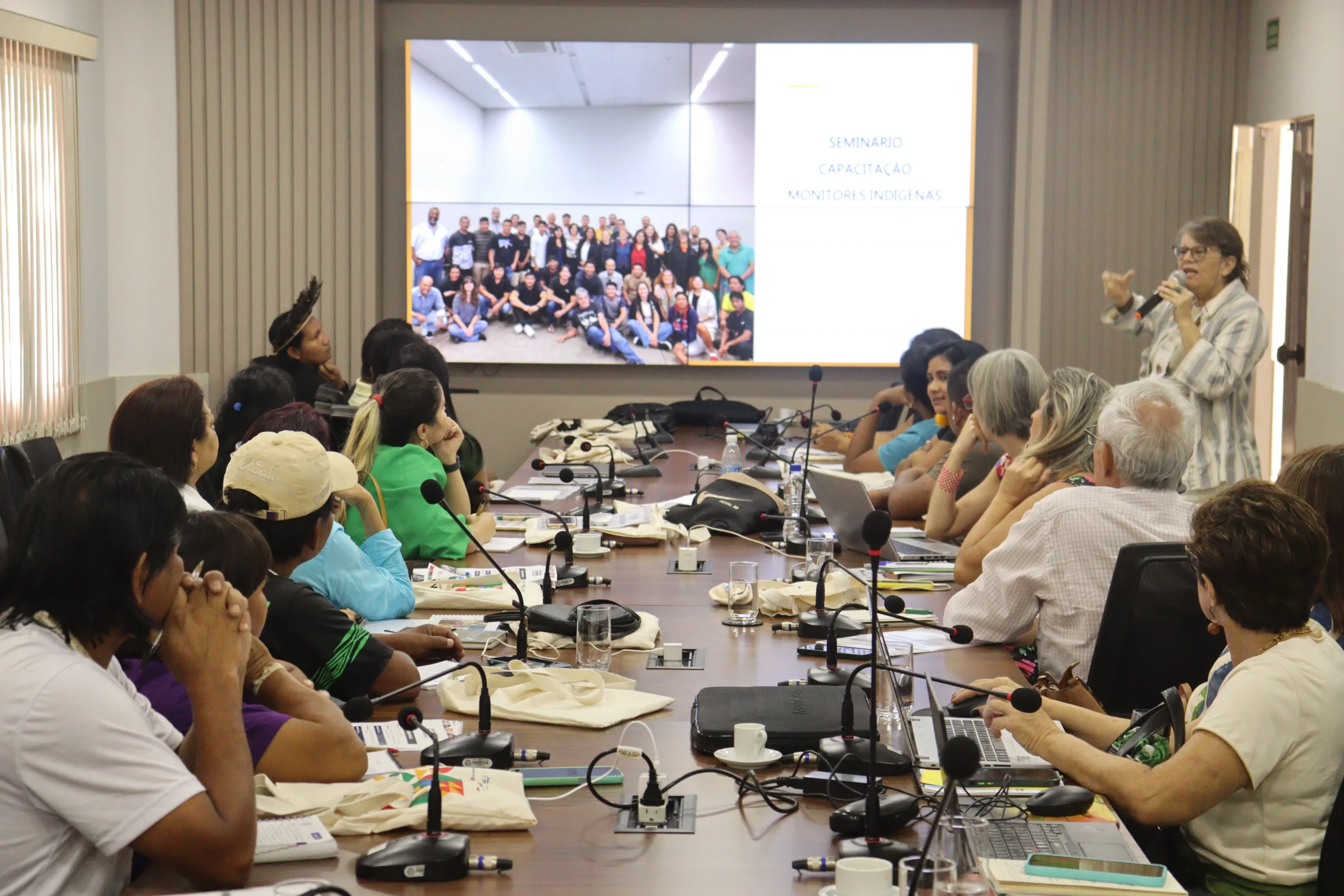 Read more about the article 14ª Reunião da Comissão de Governança do Subprograma Territórios Indígenas do Programa REM MT