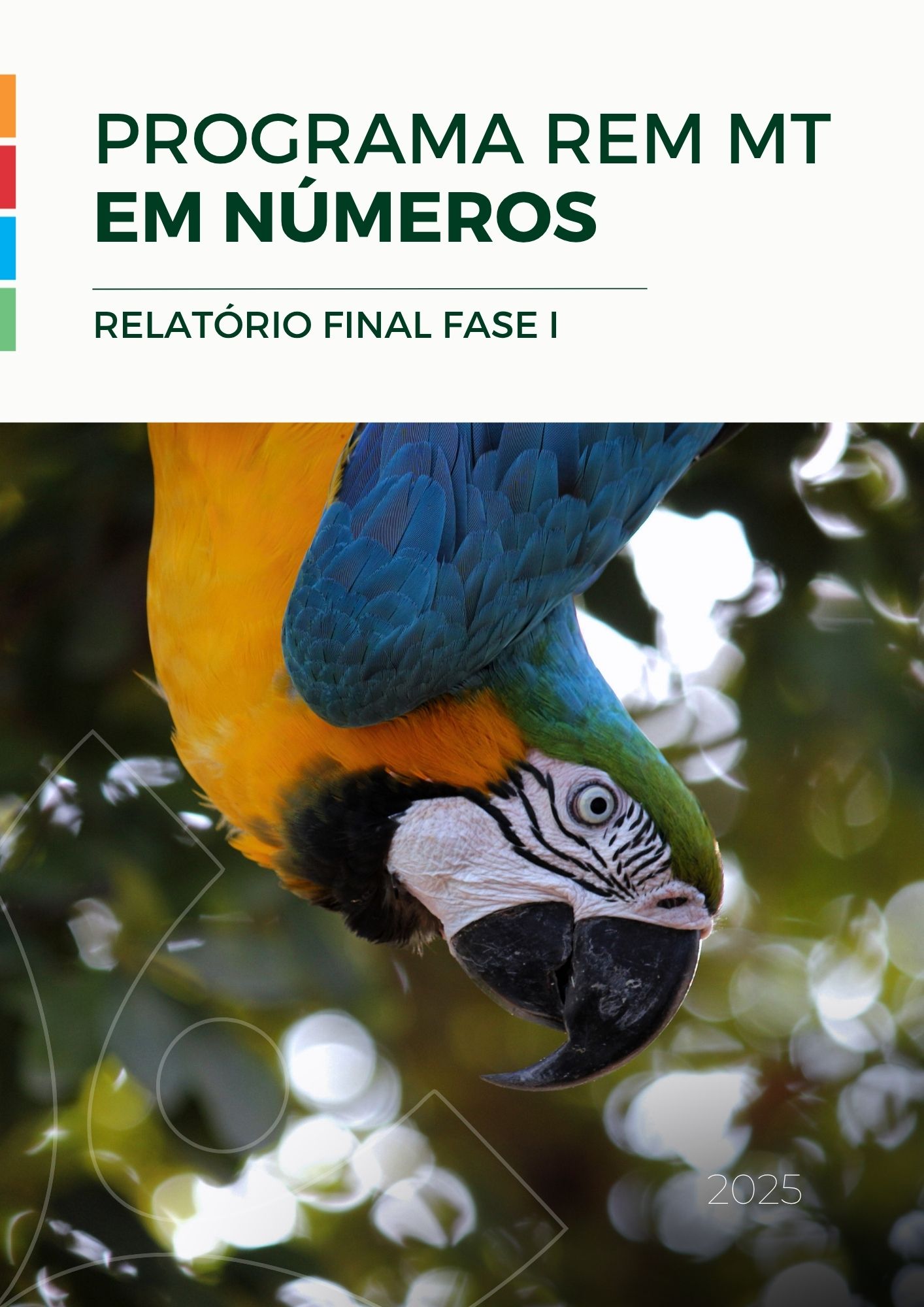 Read more about the article